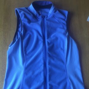 Arcteryx periwinkle colored vest